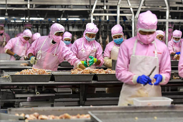 KY5C金属检测机检测肉类产品，确保肉类企业加工和质量安全